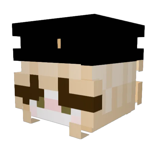 Y0oore Minecraft avatar head, 3D render