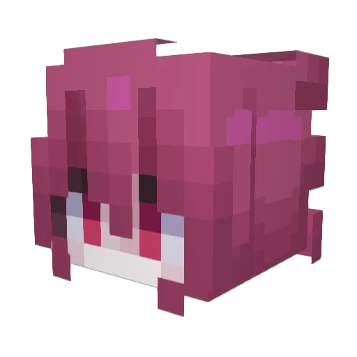Y1GenMao_ Minecraft avatar head, 3D render