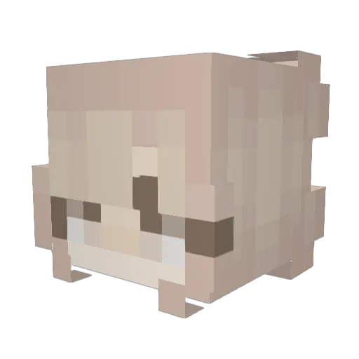 Y23WSD Minecraft avatar head, 3D render