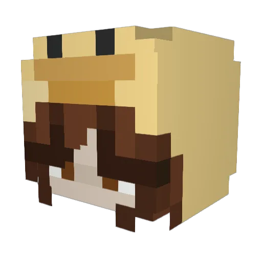Y3llowBe4n Minecraft avatar head, 3D render