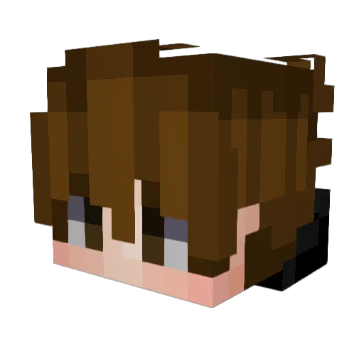 Y4nDx Minecraft avatar head, 3D render