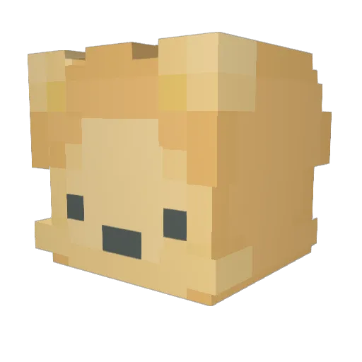 Y5hweh Minecraft avatar head, 3D render