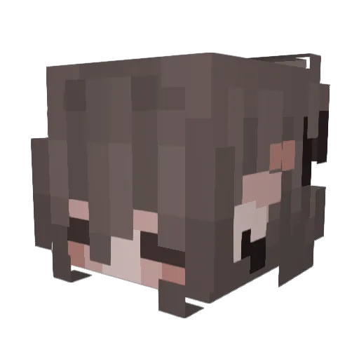 Y6ES Minecraft avatar head, 3D render