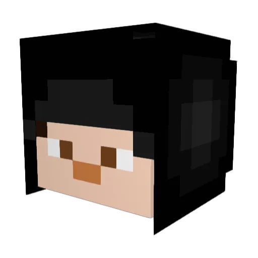 YADLMS Minecraft avatar head, 3D render