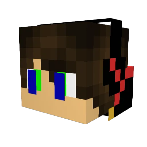 YANK1SINGH Minecraft avatar head, 3D render