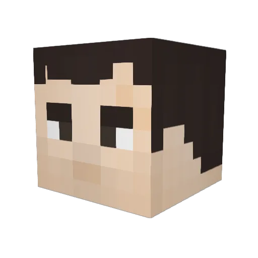 YAPIDAN Minecraft avatar head, 3D render