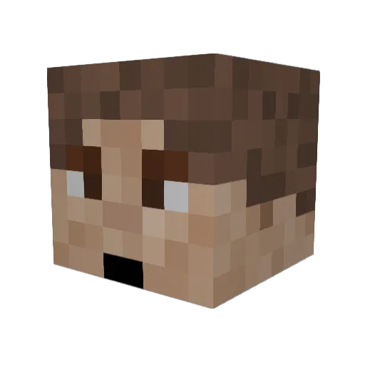 YAYL1234 Minecraft avatar head, 3D render