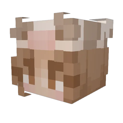 YBSpartan Minecraft avatar head, 3D render