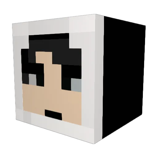 YB_1998 Minecraft avatar head, 3D render
