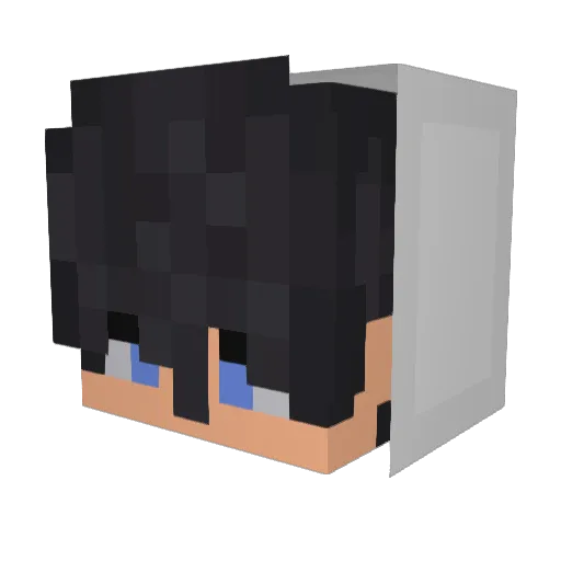 YCG_Zoffy Minecraft avatar head, 3D render