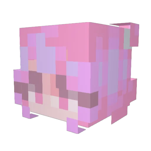 YCTsama Minecraft avatar head, 3D render