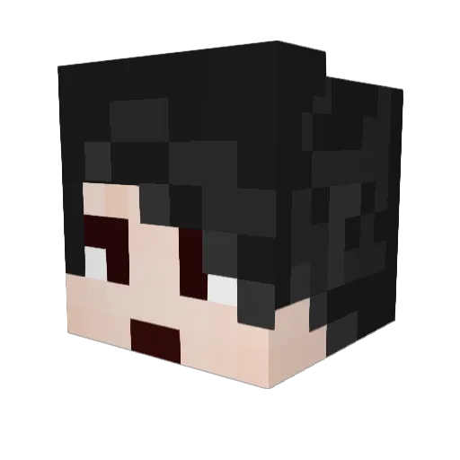 YC_shadow Minecraft avatar head, 3D render