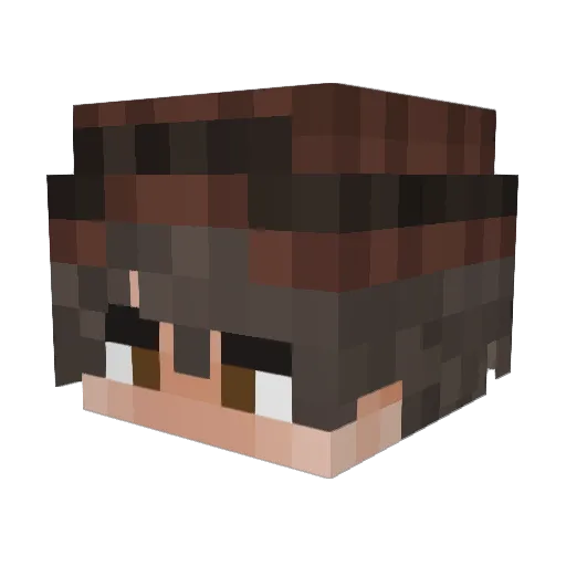 YDA1yyoAe0 Minecraft avatar head, 3D render