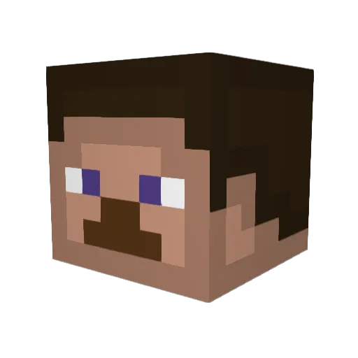 YEEEEEEEEEEEEHAW Minecraft avatar head, 3D render