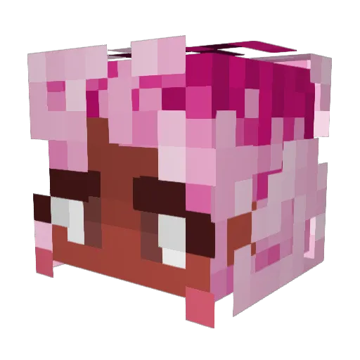 YEETTHINS Minecraft avatar head, 3D render