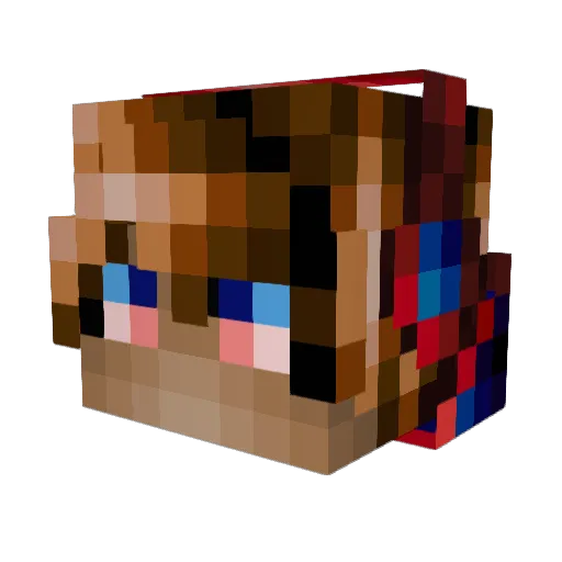 YEET_DAT_BABY Minecraft avatar head, 3D render