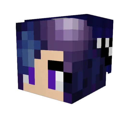YELLOWFANN007 Minecraft avatar head, 3D render