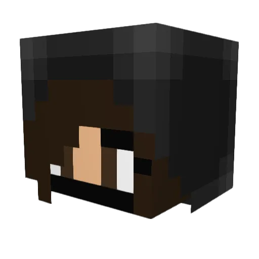 YELO_ Minecraft avatar head, 3D render