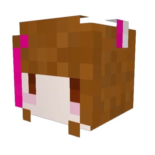 YETTW Minecraft avatar head, 3D render