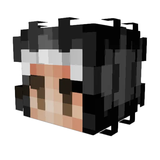 YFNMarvin Minecraft avatar head, 3D render