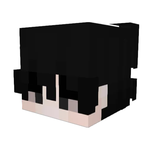 YFrosty11 Minecraft avatar head, 3D render