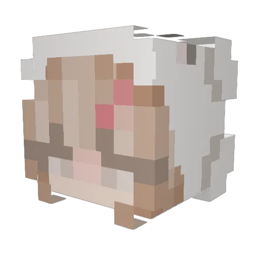 YINRINIYA Minecraft avatar head, 3D render