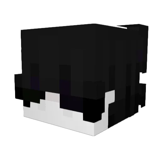 YIZ_T Minecraft avatar head, 3D render