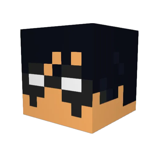 YJ_Nightwing Minecraft avatar head, 3D render