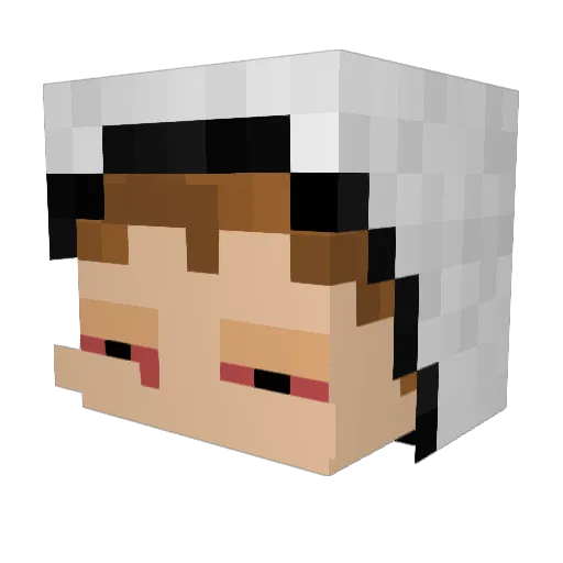 YLI100 Minecraft avatar head, 3D render