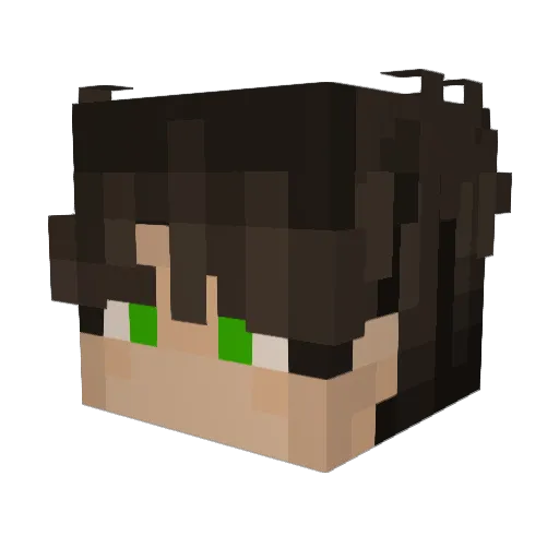 YNG_Ali Minecraft avatar head, 3D render
