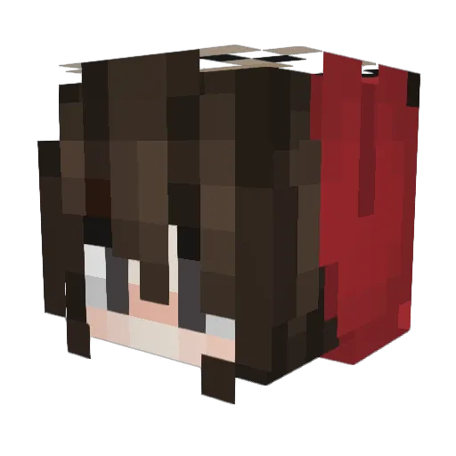 YNWASwiftz Minecraft avatar head, 3D render