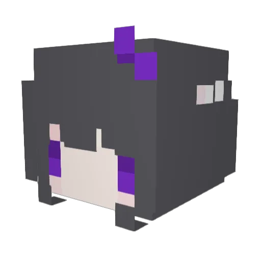YN___ Minecraft avatar head, 3D render