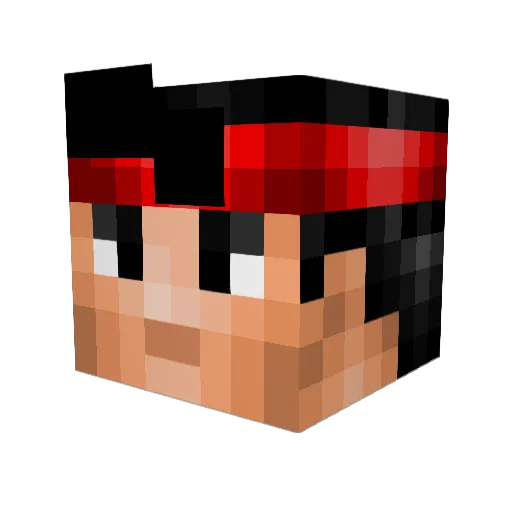 YOLOSWAGGINSS Minecraft avatar head, 3D render