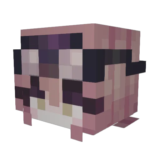 YOUAREAMONKEY Minecraft avatar head, 3D render