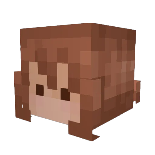 YOUR_NANZ Minecraft avatar head, 3D render