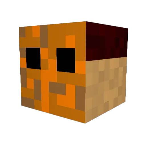 YOU_HAVE_A_WAHT Minecraft avatar head, 3D render