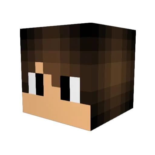 YOU__GAY Minecraft avatar head, 3D render