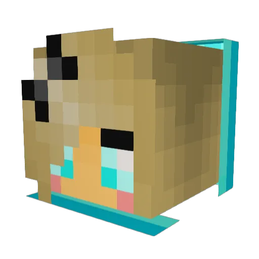 YOUgotCRUSHED Minecraft avatar head, 3D render