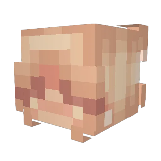 YOYOLISSA Minecraft avatar head, 3D render