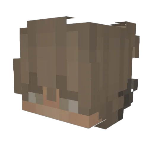 YO_PaRkEr Minecraft avatar head, 3D render