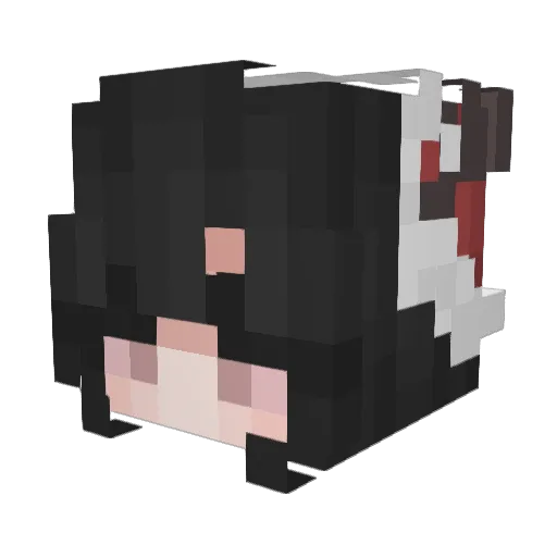 YPPJWS Minecraft avatar head, 3D render