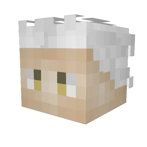 YRgungun Minecraft avatar head, 3D render
