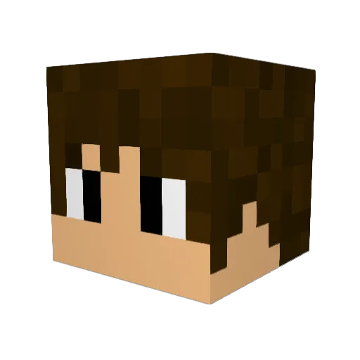 YT0MMY Minecraft avatar head, 3D render