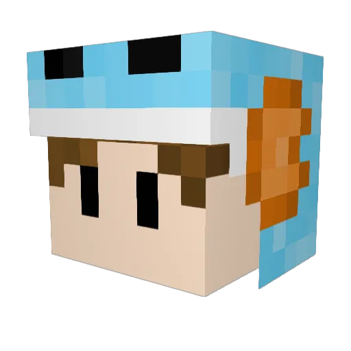 YTMiningMudkip Minecraft avatar head, 3D render