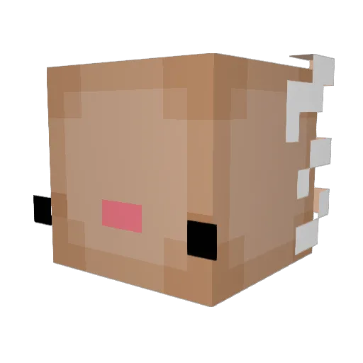 YTR3gu1arcar69 Minecraft avatar head, 3D render