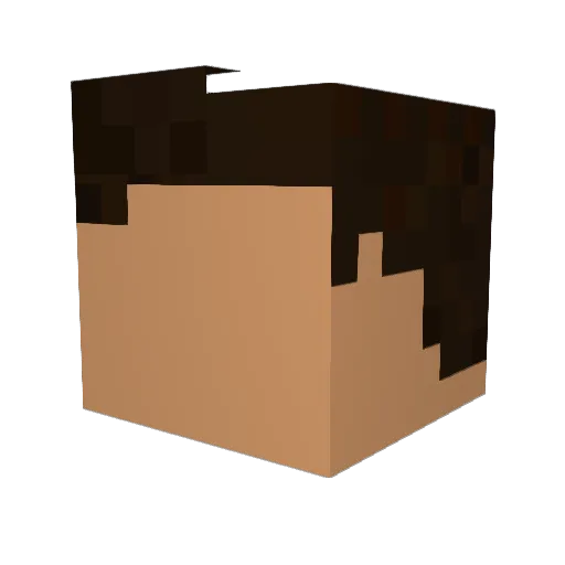 YTReflx Minecraft avatar head, 3D render