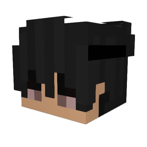 YTWu235 Minecraft avatar head, 3D render