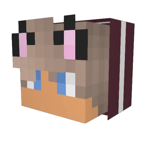YT_FOCUS Minecraft avatar head, 3D render