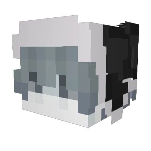 YT_Happy6 Minecraft avatar head, 3D render