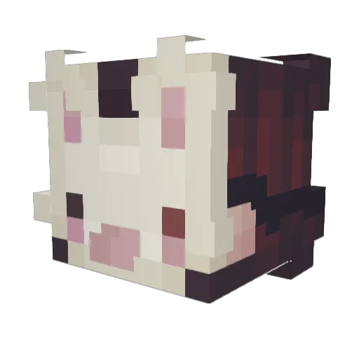 YT_Pe4enka Minecraft avatar head, 3D render